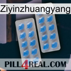 Ziyinzhuangyang 23